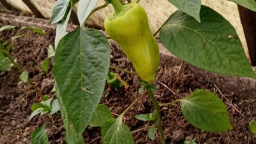 ������ ����� �� ���������� ����� � ��� � ���� ������?