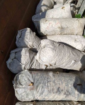 ������� ������������ ������������� ������� ������ � �������