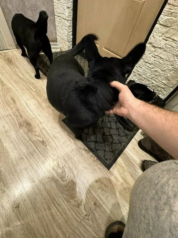 ����� ���������� ������ ������� ��������� ������ ��������, �������� ���� ������