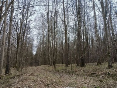 ����� ��������, ��� ����� �������� � �������������� ����� ����� ������ � �������� ������������