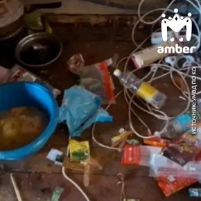 ���� �������� ����� �� ��������� ������ �� �����, ����� ������� �� ��������� ���