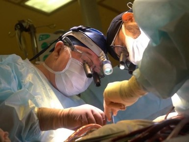 ������ ���������: ������� ������� �� ��� ������ � ������������