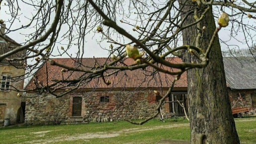 ����� ���� � ������: � ����������� � ������ ��� ������� �������, �������� �������� � �������� ������� ����������