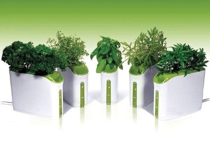 �����������: ������� ��������� ����������� �������� � �������� ��������