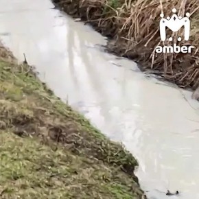 ��������� �������� ����������� ����� � ����� ����