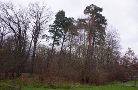 �������� ����������!�: ����������� ��������� ������� ������ �� ������