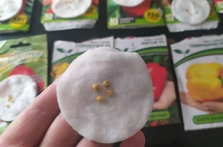 ������ ����������� ����� ����� ������� ��������� �������� �������