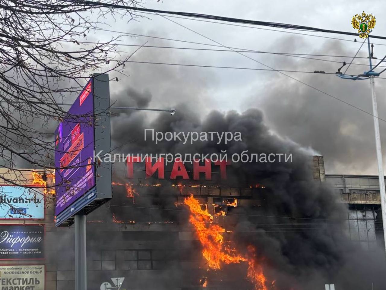 Прокуратура контролирует установление обстоятельств пожара в торговом центре в Калининграде Прокуратура контролирует установление обстоятельств пожара в торговом центре в Калининграде