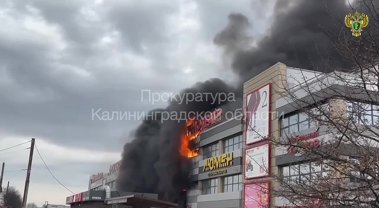 Прокуратура контролирует установление обстоятельств пожара в торговом центре в Калининграде