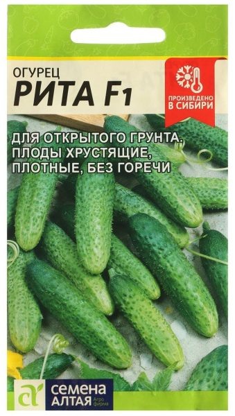 Огурец Рита: ранний и вкусный выбор для вашего огорода