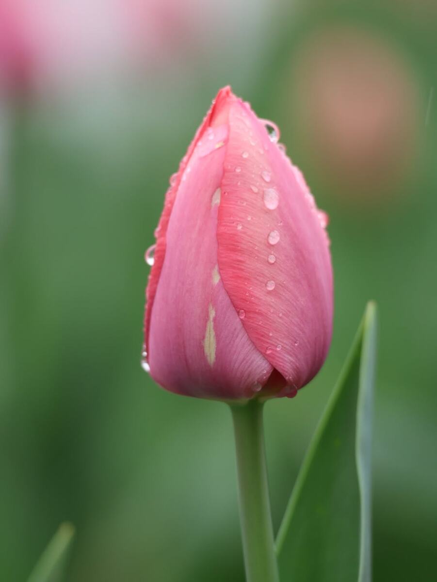 Спокойствие как роскошь: уроки жизни после 60