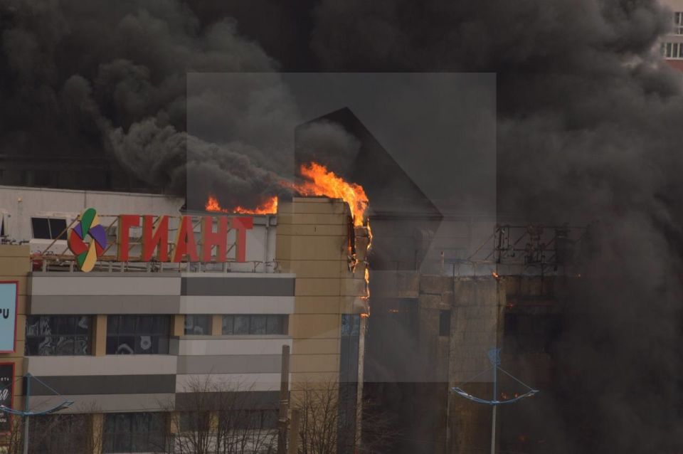 ����� � �� "�����" � ������������ ������������, ������� ���������� ������� �������������