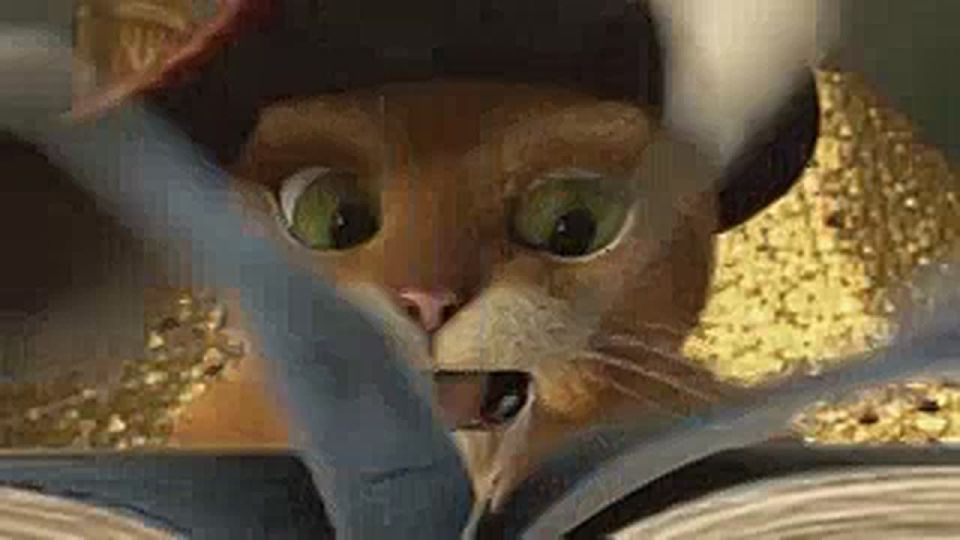 ���� �������� ������ ���������