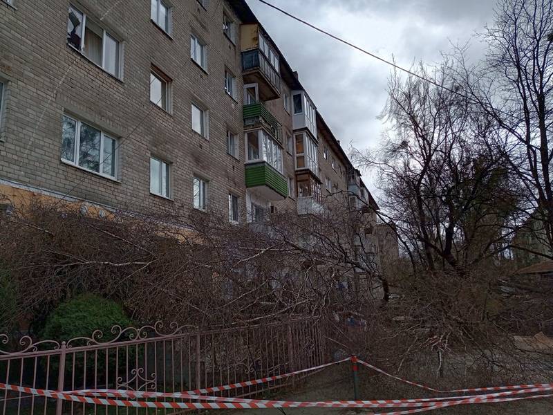 На ремонтируемой улице Галицкого в Калининграде дерево выбило окно в доме На ремонтируемой улице Галицкого в Калининграде дерево выбило окно в доме