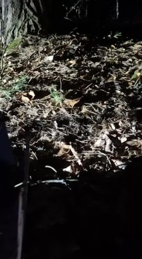 � ������� ������� �������, ������� ����� ������ � ��������� � �������-�������� �������