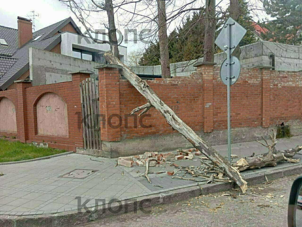 Сильный ветер в Калининградской области повалил деревья и повредил здания Сильный ветер в Калининградской области повалил деревья и повредил здания