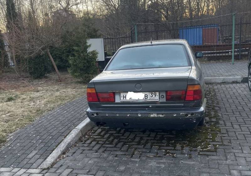 Власти Калининграда защитили обросшие мхом автомобили Власти Калининграда защитили обросшие мхом автомобили