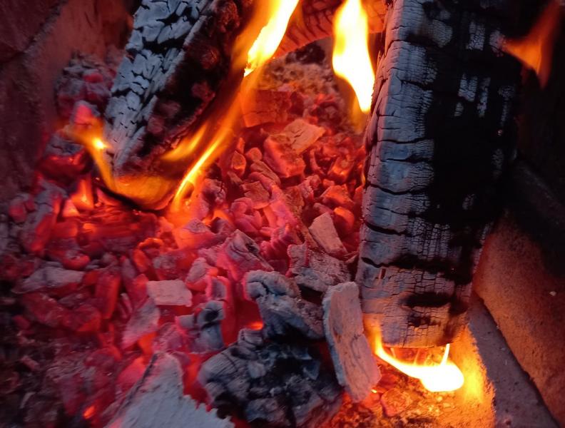 В Калининградской области нашли отравленные пепелища