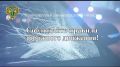Прокуратура области призывает граждан соблюдать Правила дорожного движения!