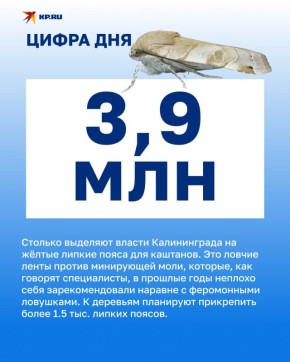 � �������� ������ ��������