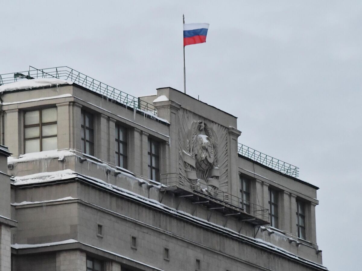 В Госдуме предложили закон о защите россиян, арестованных за границей