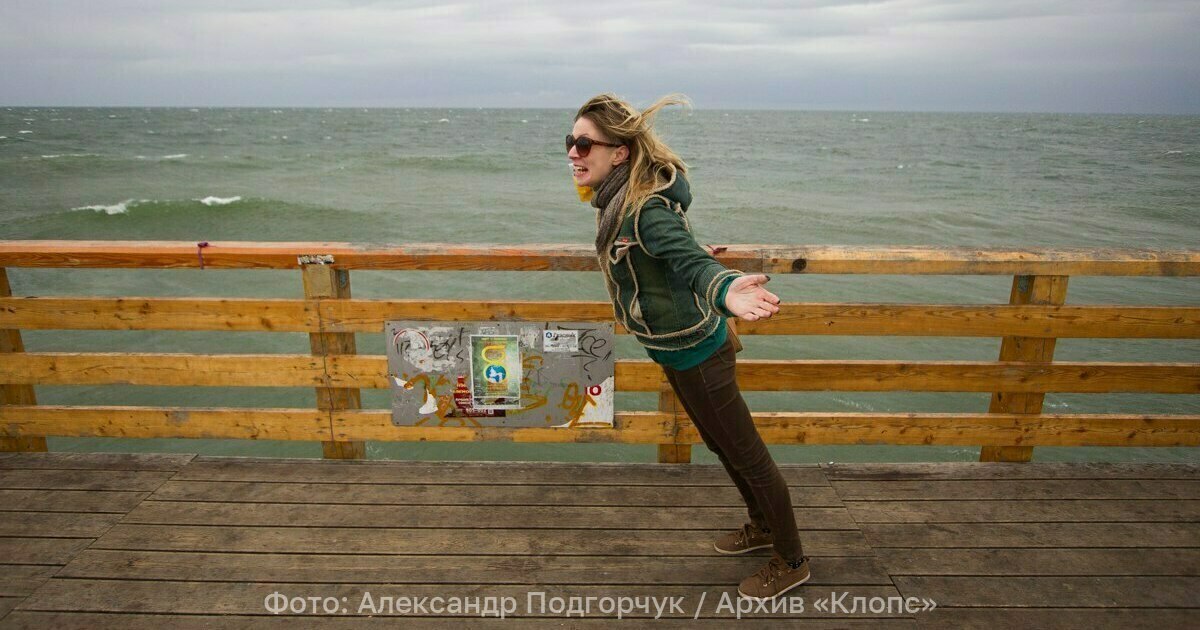 Пока не пришли заморозки, калининградцы могут привыкать к холодам на пронизывающем северо-западном ветру