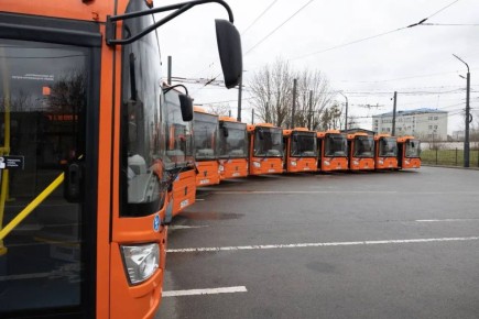 1 мая на улицы Калининграда выйдут 12 новых автобусов «ГорТранса»