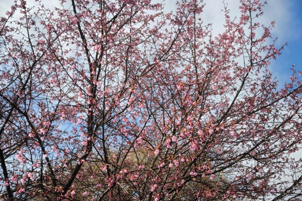 �� ���������� ����� �������� ������ � ������������ ������� ������