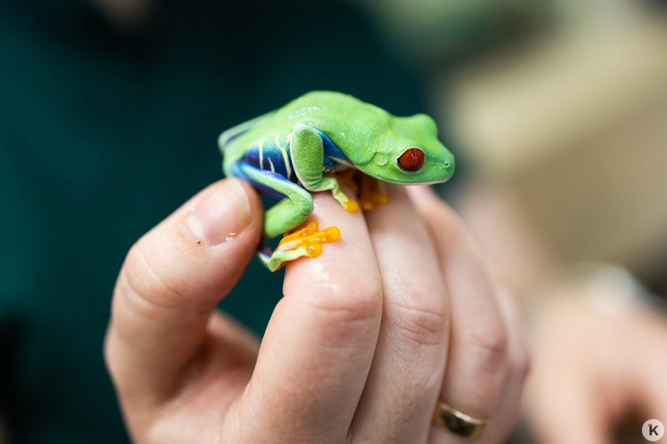 � ��������������� ������� ���� ������ �� ������ ��� ����� � �����, �� � ��� ��������