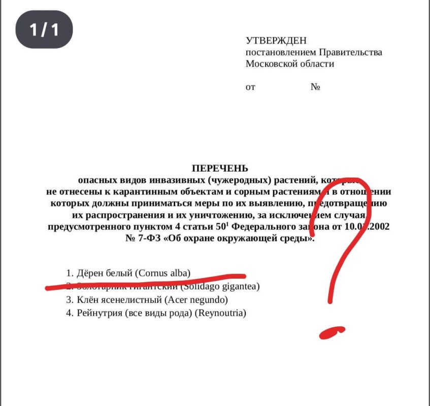 ��������, ������� ������ ��������: ��� ����� � ������ ������ � �����