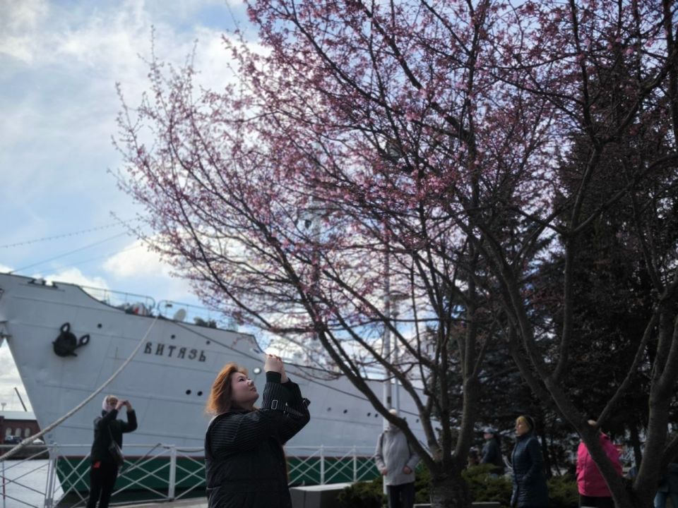 ���������. ������� ������ ����� �������� ������ ��������� �������