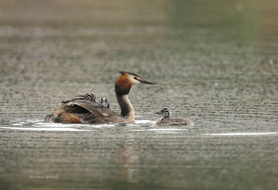 ��������� �� �������� ���� ����� ������� ������ 2026 ���� � ������