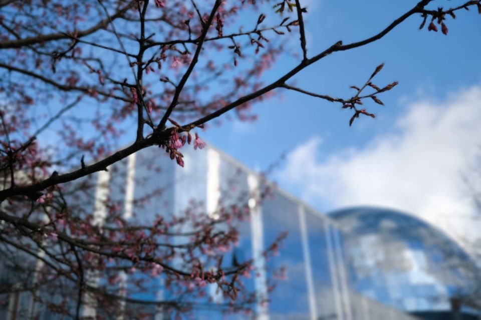 �� ���������� ����� �������� ������ � ������������ ������� ������