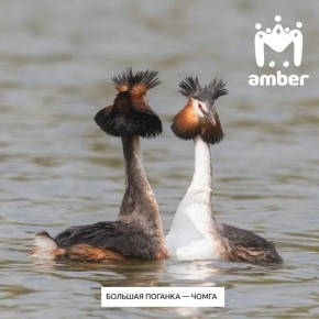 ������� ������� � ����� 2026 ���� �� ������ ����������� ����� �������� � ��