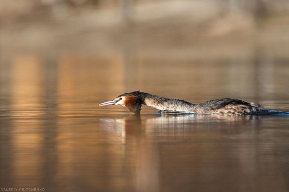 ��������� �� �������� ���� ����� ������� ������ 2026 ���� � ������