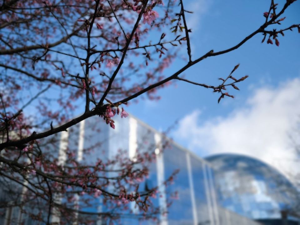 ���������. ������� ������ ����� �������� ������ ��������� �������