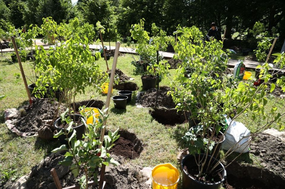 ����� ���������� ��������, ������� ����� � ��������� ���� ������� ������������, ���� � ������� ��������� �������