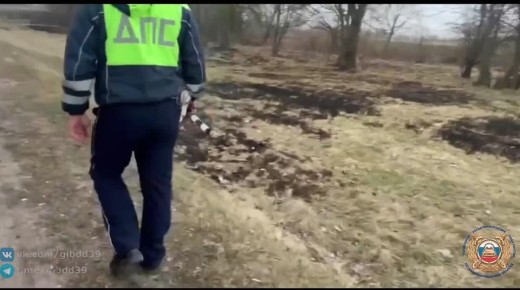 � ��������������� ������� ���������� �������� � ����� ������������ ���������