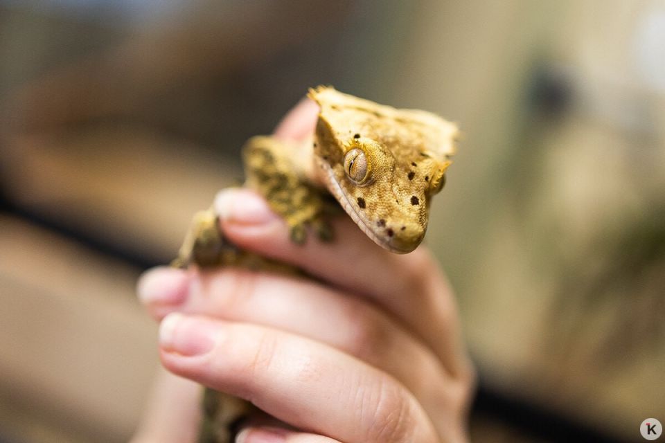 � ��������������� ������� ���� ������ �� ������ ��� ����� � �����, �� � ��� ��������