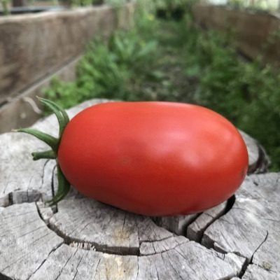 ����� ��������� �����: ��������� ����� ��� ������ � ���������������