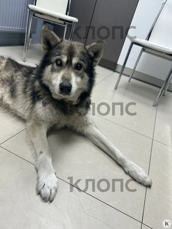 ��������������� �������� �� ���� ����������� ������� ��� � �� ���������� ������ � �������� �������