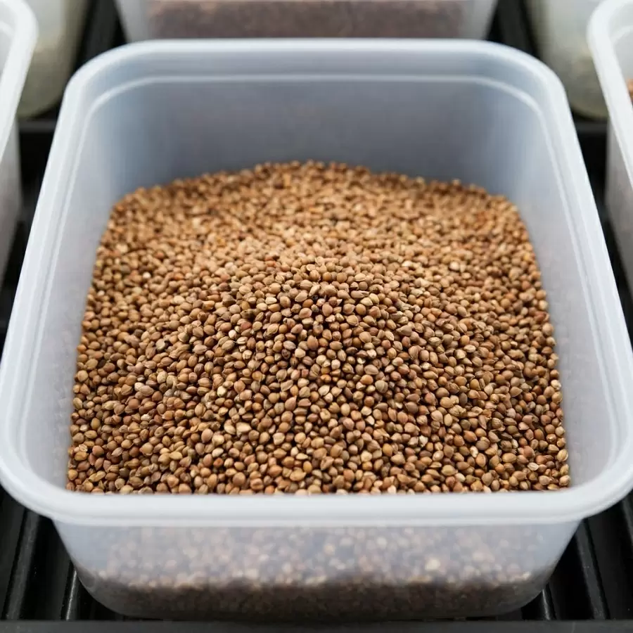 Как заморозка поможет сохранить крупы свежими и полезными