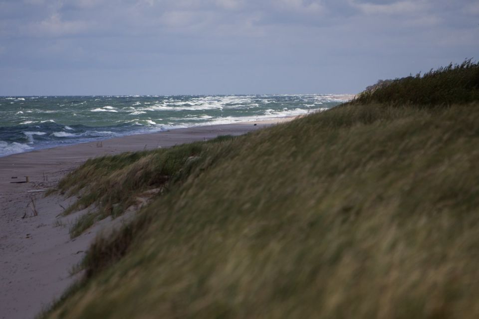 � �������� ������ � ��� ����� �� ���������� �����: ������� ������ � ������������ � ������� �� 9 ������