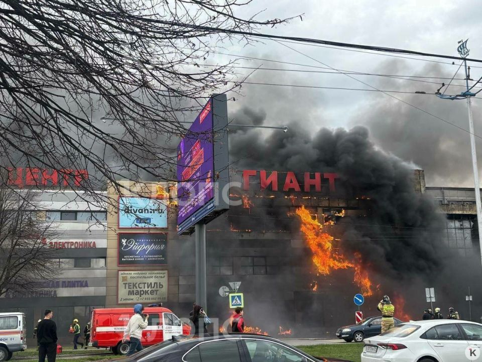 �������� ���������, ��� � ������������ ����� ������ �������� �� ������