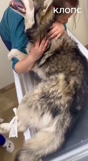 ��������������� �������� �� ���� ����������� ������� ��� � �� ���������� ������ � �������� �������