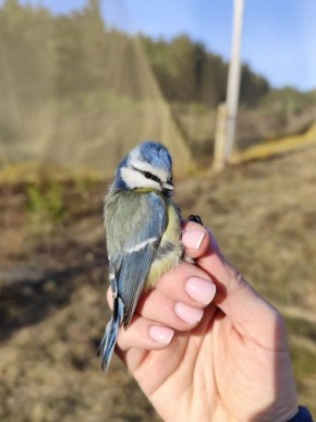 ���������� �� �������� ���� ����������� ������ ����� ������