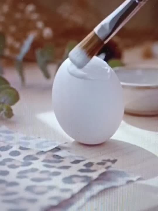 � ���������� ����� ��������� ����� ���������� �����