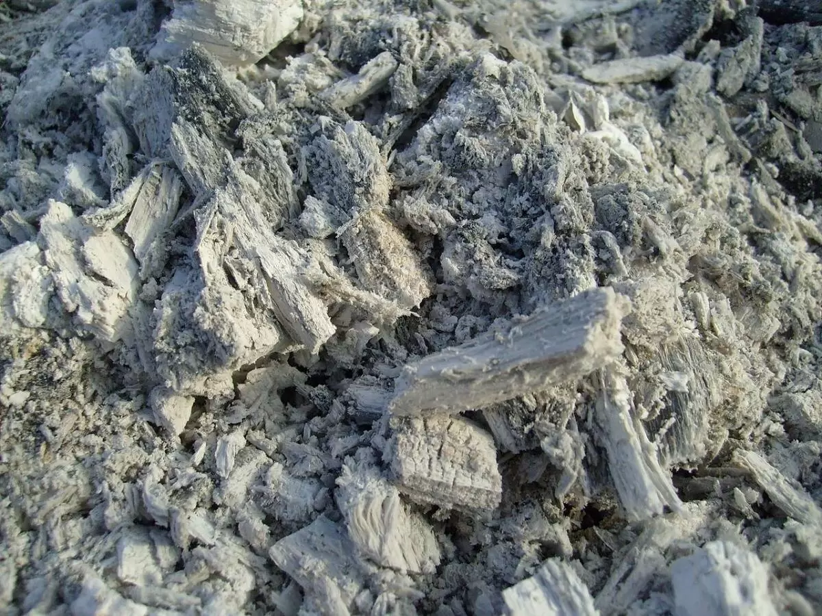 Древесная зола как натуральное удобрение для зимнего сада