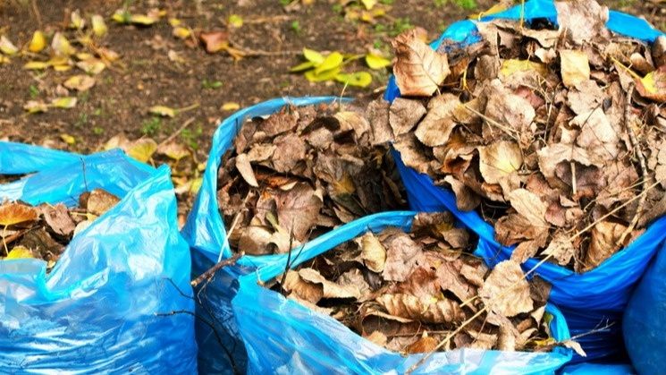 ������� �� ������� �������: ������� ����������� � ������ ������