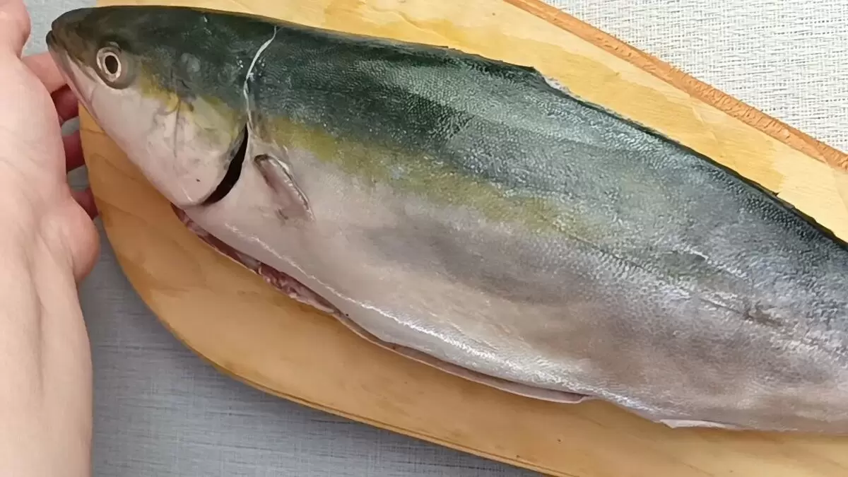 Лакедра в маринаде: новый гастрономический успех, который покоряет кухни